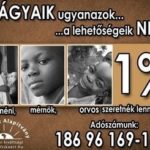 AZ ELMÚLT 17 ÉVÜNK SZÁMOKBAN!