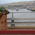 MENNYIBEN ÉRINTI A KORONAVÍRUS ALAPÍTVÁNYUNK MUNKÁJÁT?